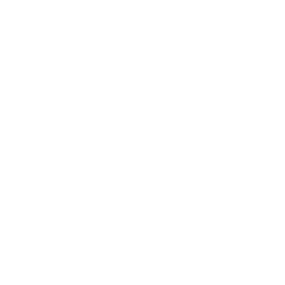 Coola | Gerardo Russillo Lab