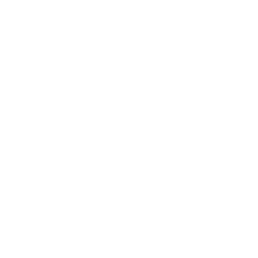 Poldina | Gerardo Russillo Lab